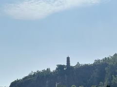 -南沙蒲洲花园