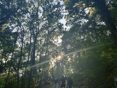 -大蜀山国家森林公园