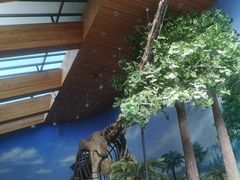 -延庆地质公园博物馆