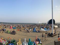 -碧海金沙