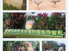 -海南热带野生动植物园