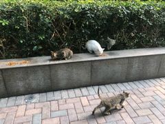 -车公庙(地铁站)