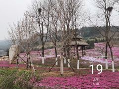 -棒棰岛宾馆景区