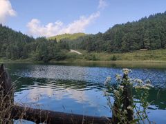 -武陵山森林公园