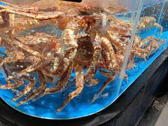 -徐记海鲜(南油永新汇店)