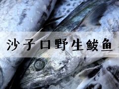 -船歌·鱼水饺青岛菜(金狮广场店)