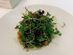 -茗鼎汇(星方汇广场店)