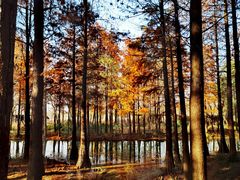 -西溪国家湿地公园