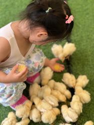 -萌宠亲子动物乐园(槐房万达店)