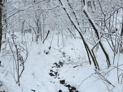 -安吉龙王山风景区