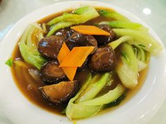 冬菇扒菜胆-海宝酒家(中山四路店)