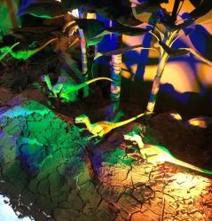 -恐龙探索乐园(磁器口店)