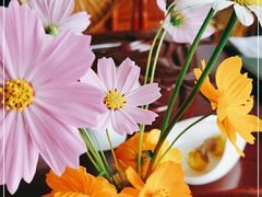 -七彩云南茶(七彩云南第壹城店)