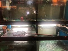 -金海阁海鲜火锅