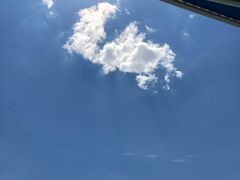 -呼兰河口湿地公园
