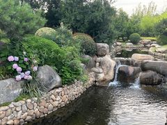 -诗经里