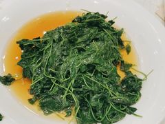 -金时代顺风大酒店(瑞虹路店)
