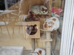 -花苑里咖啡(威远店)