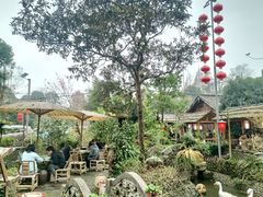 -青城甲(青城山店)