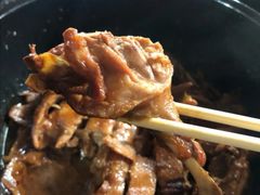 -百家春好德来姜母鸭