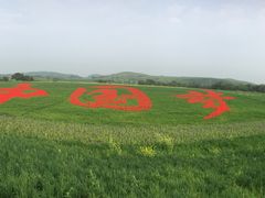 -御道口草原森林风景区-游客咨询处