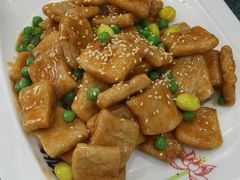 -五台山正觉全素斋