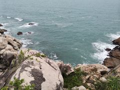 -广东惠东海龟国家级自然保护区