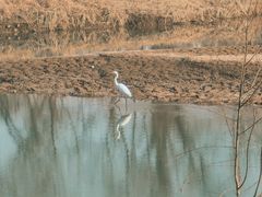 -西安浐灞国家湿地公园