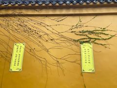 -西园戒幢律寺
