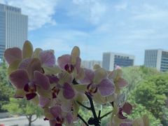 -微笑口腔(园区店)