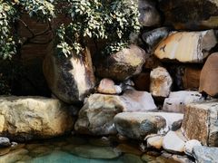 -张家港金凤凰度假村温泉