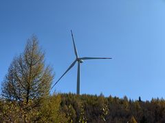 -塞罕坝国家级自然保护区