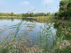 -永定河休闲森林公园