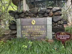 -张家港金凤凰度假村温泉