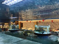-金龙渔港(双楠店)
