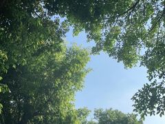 -观澜湖生态运动公社