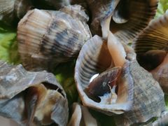 -山海经·海边人家 海鲜新青岛菜(扬州路店)