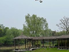 -贡湖湾湿地公园