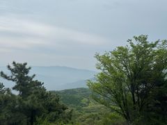 -北京鹫峰国家森林公园