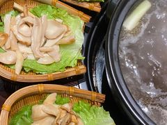 -滇野云南野生菌餐厅(陕西南路店)