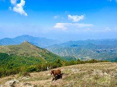 -灵山