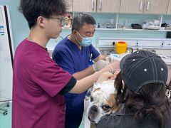 -北京观赏动物医院·24小时大型综合·猫专科·异宠专科