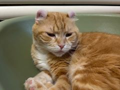 -平行世界·猫咖(首经贸店)