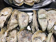 生蚝-蚝专家(北滘店)