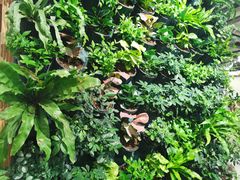 -鹿岛会员店 (龙湖三千集天街店)