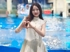 -合肥海洋世界