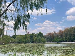 -翠湖公园