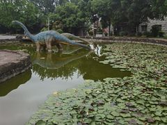 -自贡恐龙博物馆