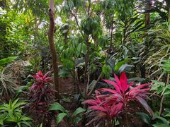 -北京植物园-展览温室