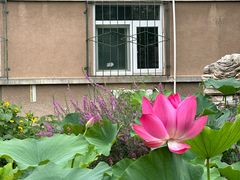 -中国农业大学(西校区)